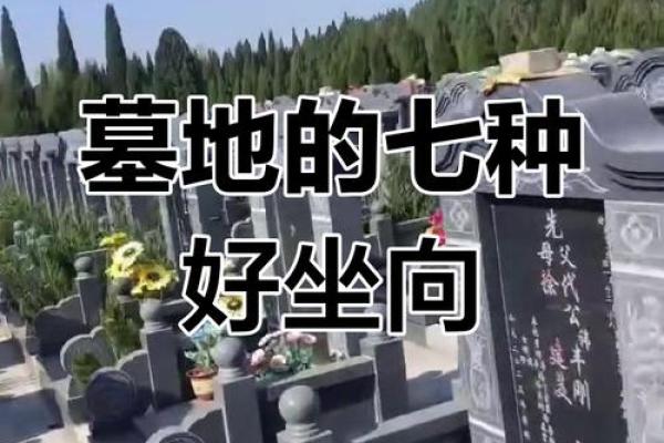 墓地风水知识大全有哪些