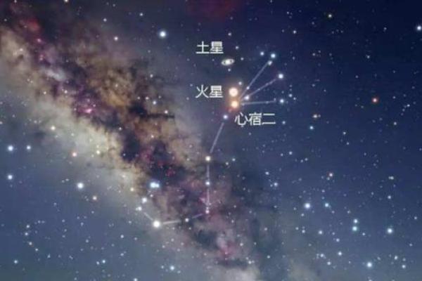起来最亮的行星是哪个星座