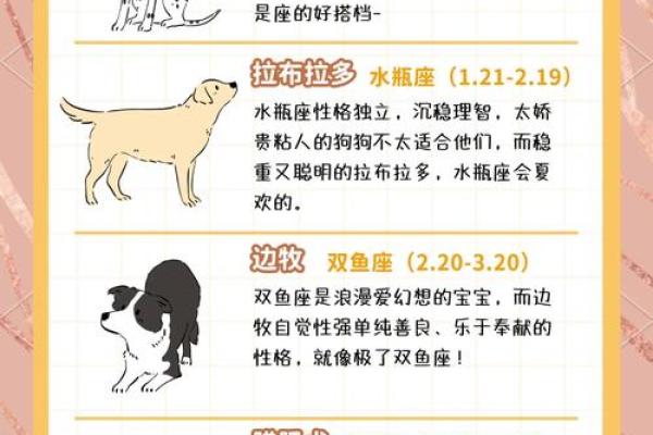 12星座谁最适合养什么狗呢