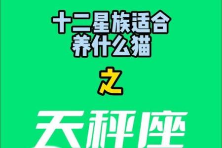 十二星座天秤座计算能力强吗