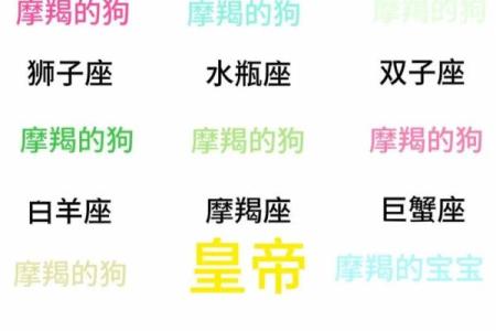 摩羯座跟哪个星座适合谈恋爱