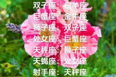 哪个星座的贵人星座是狮子座的女生