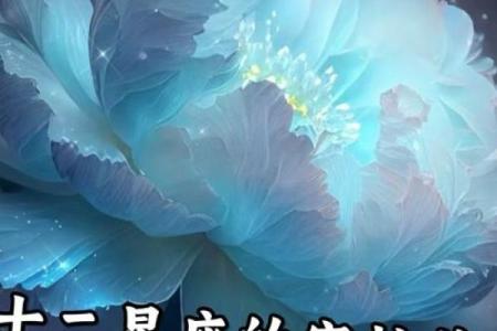 十二星座专属守护花都有哪些呢