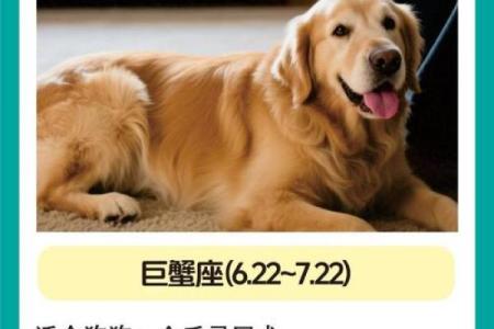 12星座谁最适合养什么狗呢