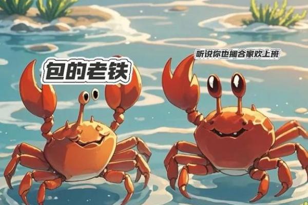十二星座最适合哪种螃蟹