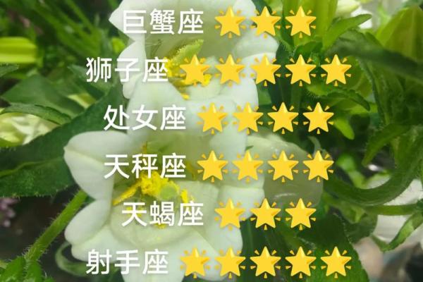 白羊座6月份星座运势怎么样