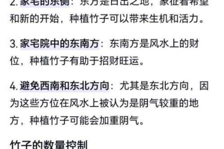 房子里生竹子好吗风水