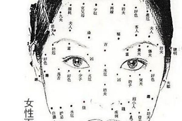 脸上长毛风水