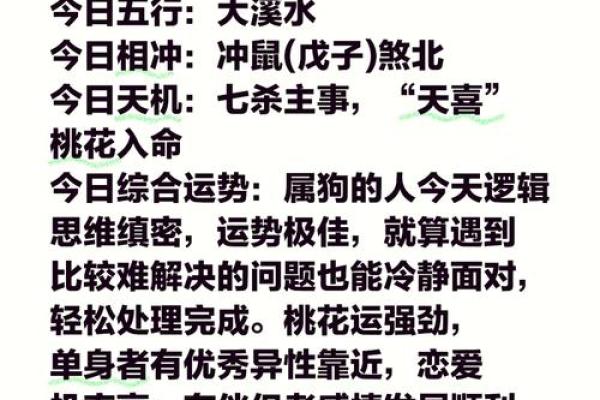 星座女属狗的运势怎样呢