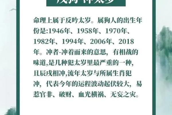 星座女属狗的运势怎样呢