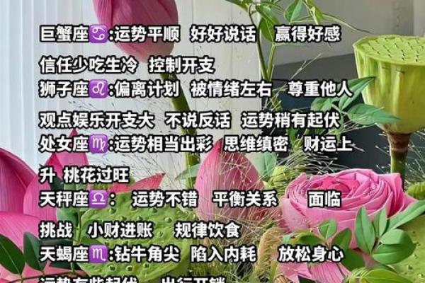 十二星座今日运势浅析男