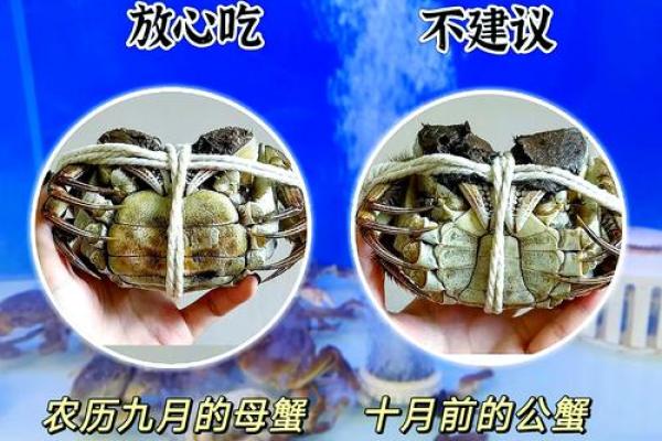 哪个星座爱吃大闸蟹