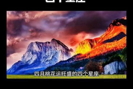 哪一个地点适合看桃花星座