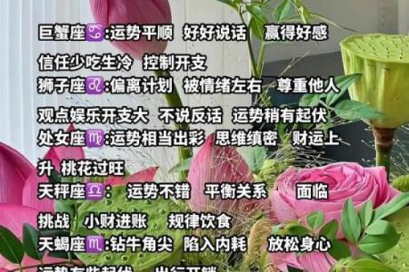 十二星座今日运势浅析男