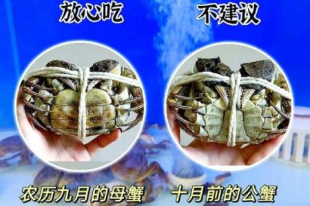 哪个星座爱吃大闸蟹