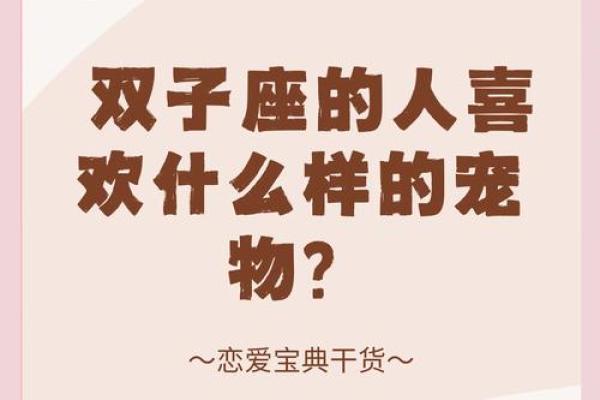 十二星座最适合养的宠物双子座
