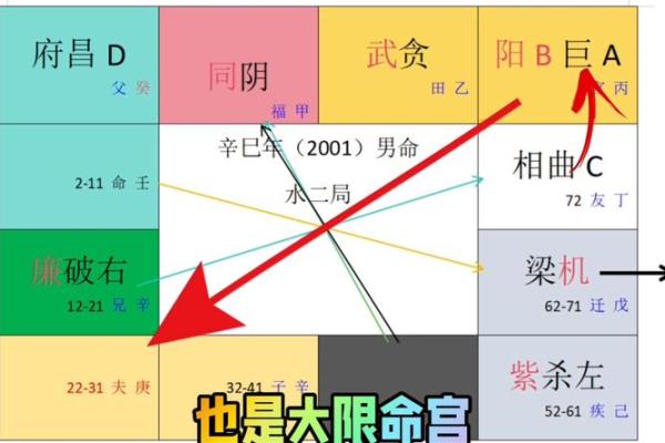 紫薇斗数看聪明程度