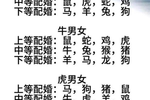 生肖算命婚姻，十二生肖什么属相和龙最配
