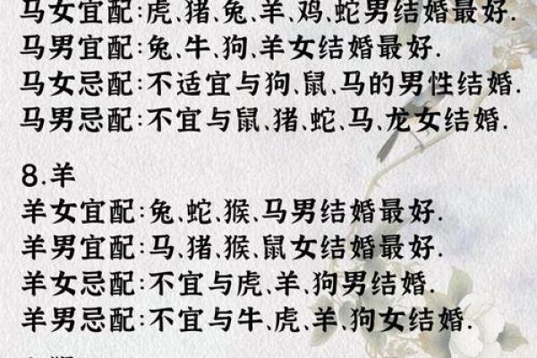 生肖算命婚姻，十二生肖什么属相和龙最配