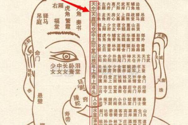 面相解析：从山根看相算命