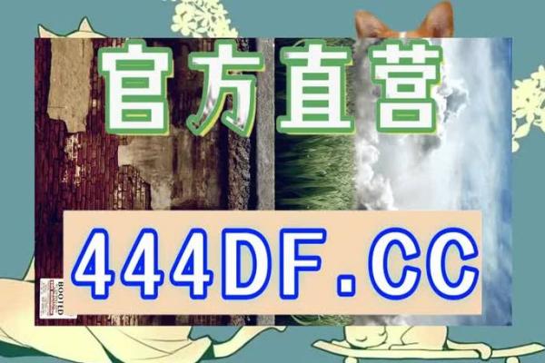 姓名最佳配对 姓名最佳配对查询？