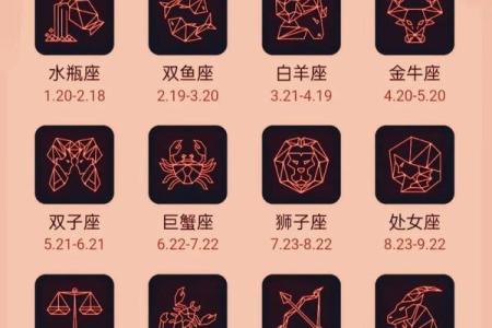 十二星座新一年运势图