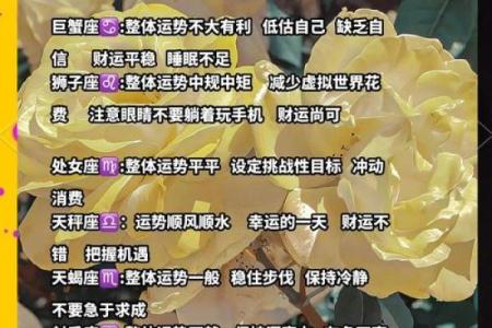 十二星座一天的运势