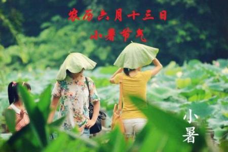 小暑的诗 小暑的主要节气民俗