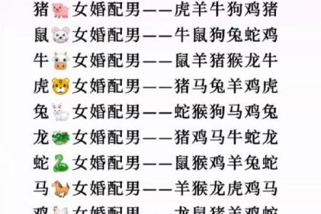 男猴女马生肖配对姻缘