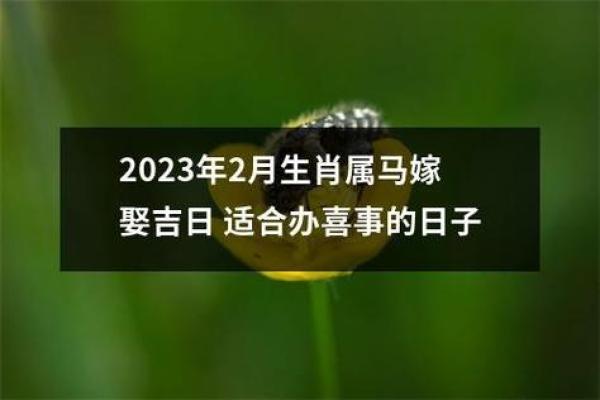 属马的生辰吉日