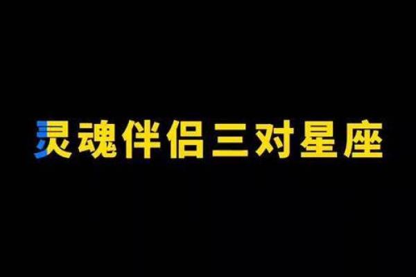 哪个星座适合灵魂伴侣