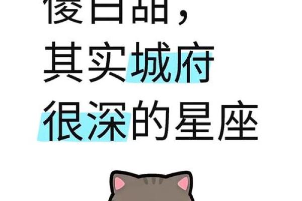 十二星座都适合什么表情包