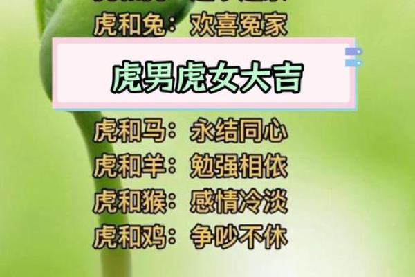 女鼠男虎生肖配对姻缘 属鼠女与属虎男婚姻配对详解