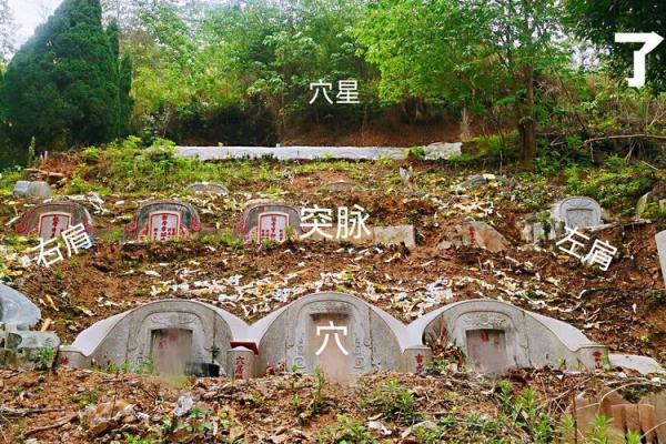 风水：调理好风水能预防疾病，不信你看看这几条实例！