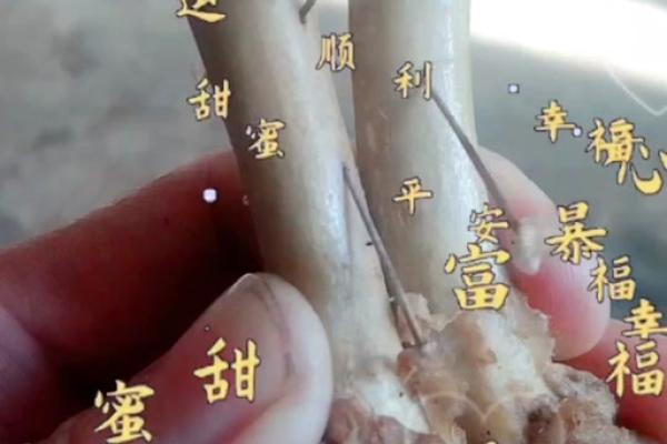 鸡足60灵签