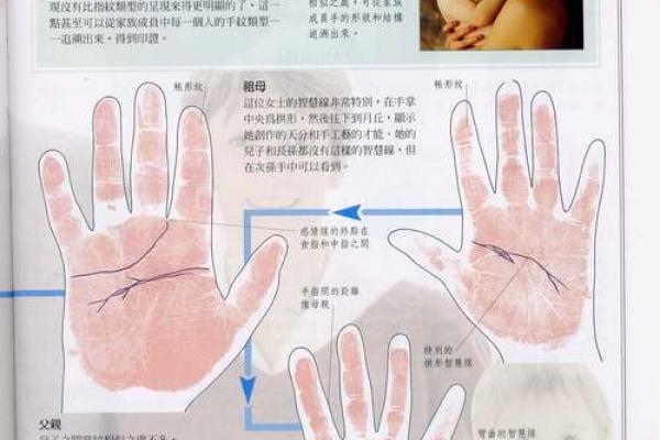 《手相学习百科》：指尖与指节