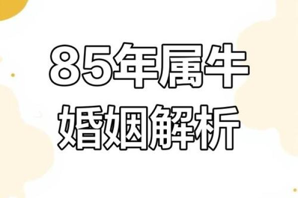 属牛人婚姻配对
