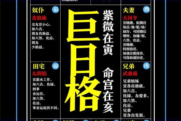 许世英紫薇斗数命盘