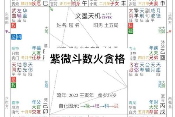陌元紫薇斗数