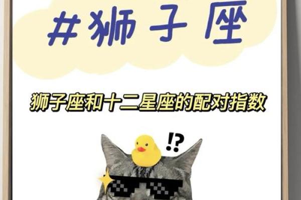 狮子座最佳配对第一名,男双鱼座女狮子座配对指数