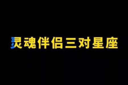 哪个星座适合灵魂伴侣