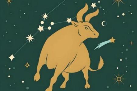 飞黄腾达，事业运势极好的星座