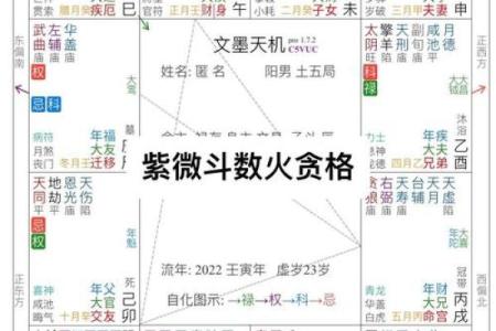 陌元紫薇斗数