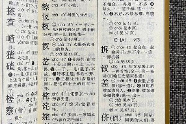 “精字典”：一本收录千万精彩含义的百科全书