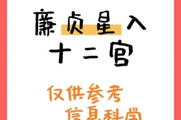 紫微斗数之夫妻宫与诸星,廉贞星在夫妻宫概论 紫微斗数之夫妻宫与诸星,廉贞星在夫妻宫概论