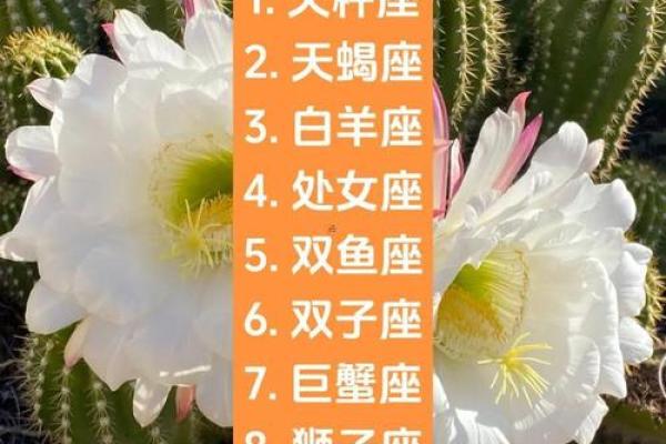 天秤座与双子座情侣配对表