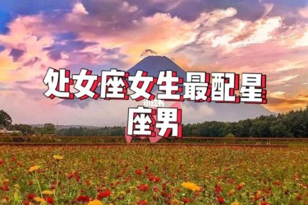 处女座男和什么星座最配 处女座男和哪个星座最匹配