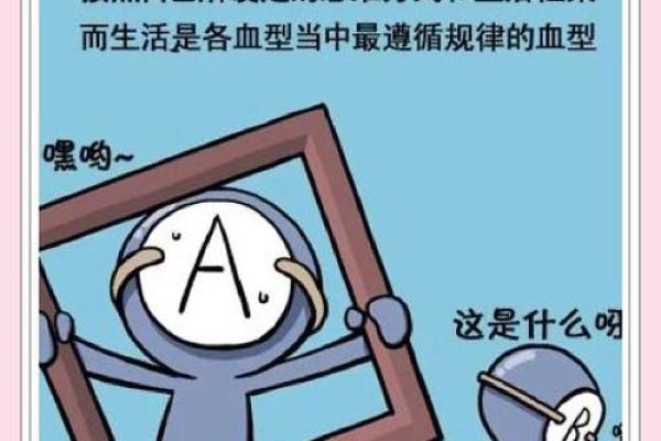 a型血和a型血会生出什么血型