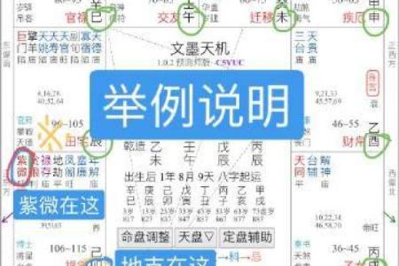 文墨天际紫薇斗数