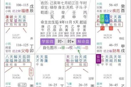 紫薇斗数在线详解
